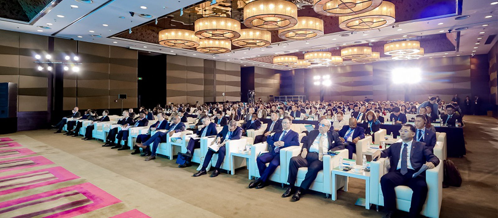 Liyu Invited to Attend the 2024 Symposium on High-Quality Development of China-Africa Investment Cooperation