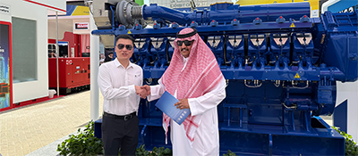 LiyuPower Shines at Middle East Energy Dubai 2025