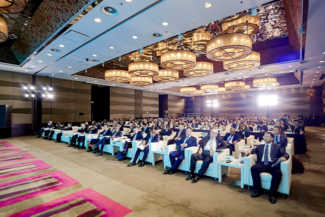 Liyu Invited to Attend the 2024 Symposium on High-Quality Development of China-Africa Investment Cooperation